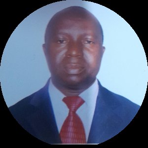 At this time of global economic uncertainty, the only option left  for African Governments is to min...