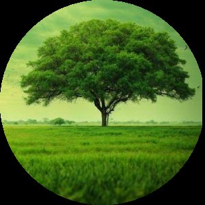 https://www.lekeelekee.com/signup?ref=F5E91370