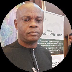 Killings, kidnappings, banditry, hunger, armed robbery, thuggery, financial scamming, fraud, extorti...