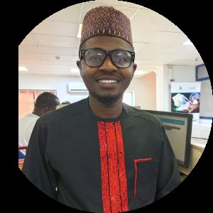 How true is this assertion? 

High Level Connection:
NNPC, CBN, NCC, DIA, NITDA, NPA, FIRS, FAAN

Mi...