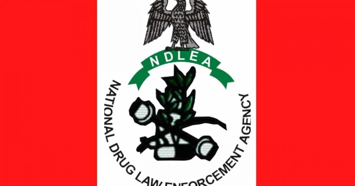 Do you think tackling drug trafficking can boost youth employment in Nigeria?