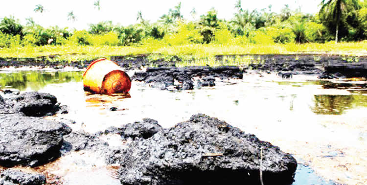 Do you think Nigeria's environmental policies are sufficient for real change?