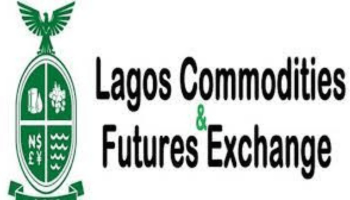 Do you think government housing initiatives effectively support civil servants in Nigeria?