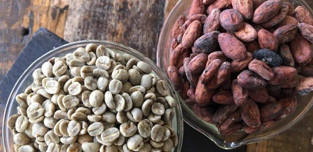 Should African cocoa and coffee farmers unite to demand fair prices, or compete individually?
