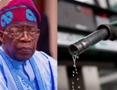 Do you think Nigeria's government institutions can reform themselves, or do we need external pressur...