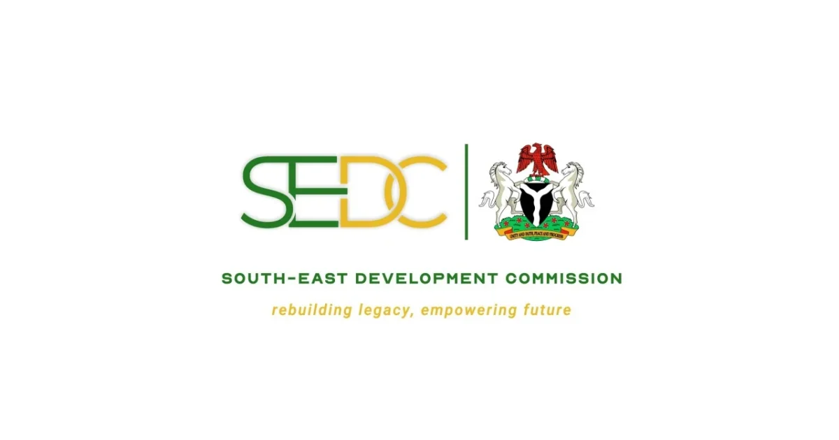 Do you think strong institutions matter more than individual leaders for Africa's development?