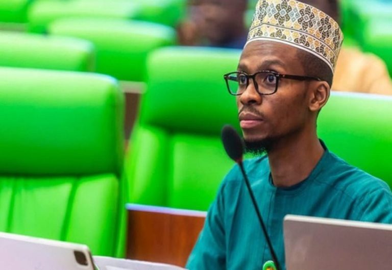 Chuks Okocha in Abuja A federal lawmaker and son of former Kaduna State governor, Nasir El-Rufai, B...