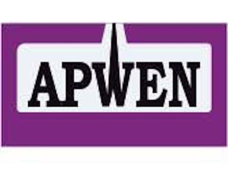 Emmanuel Addeh in Abuja The Association of Professional Women Engineers of Nigeria (APWEN) at the w...