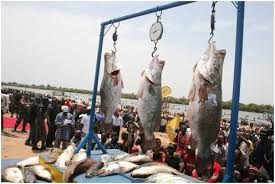 The Argungun Festival is a celebration of culture, innovation, and prosperity, writes ABDULLAHI IDR...