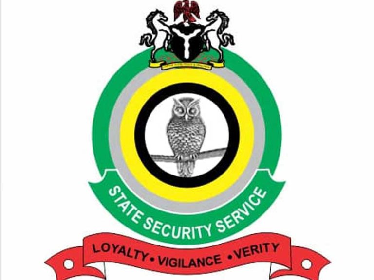 The Department of State Services (DSS) has confirmed the release of Walida Ibrahim, a teenager at th...