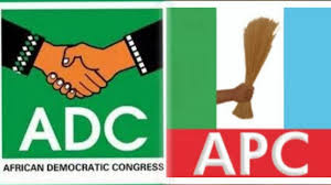 Adedayo Akinwale in Abuja A former National Woman Leader of the African Democratic Congress (ADC), H...