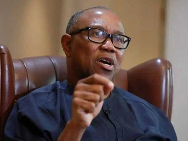 Chuks Okocha in Abuja The Labour Party’s presidential candidate in the 2023 election, Peter Obi, has...