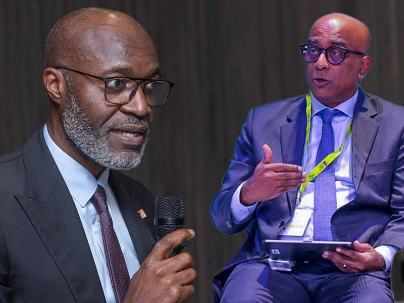 World Bank director Verghis and Access Bank CEO Ogbonna predict recapitalised banks will increase le...