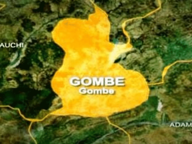 Najib Sani in Gombe The Gombe State Geographic Information Systems (GOGIS) has made significant str...