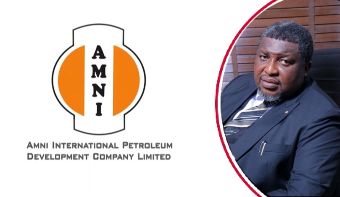 AMNI declared unable to pay $2.6 million debt; court appoints administrator to oversee company asset...