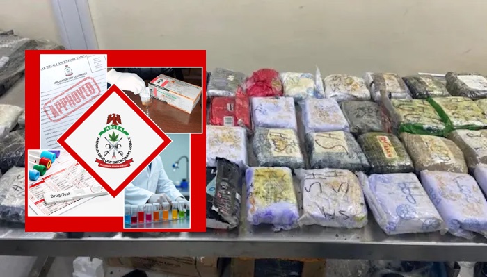 NDLEA intercepts cocaine couriers, unmasks prison-backed smuggling network and dismantles synthetic...