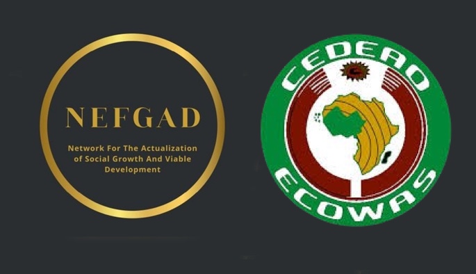 Civic group NEFGAD asks ECOWAS court to void Nigeria’s tax laws, alleging post-assent alterations af...