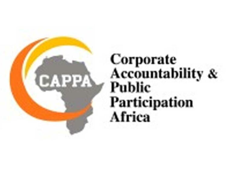 Sunday Ehigiator The Corporate Accountability and Public Participation Africa (CAPPA) has raised con...