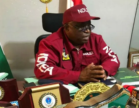 Linus Aleke in Abuja Former Deputy Commander-General of the National Drug Law Enforcement Agency (ND...