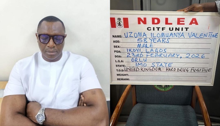 NDLEA arrests fugitive Uzoma Ilomuanya - who is wanted in the UK - in Lagos, ending 15-year pursuit...