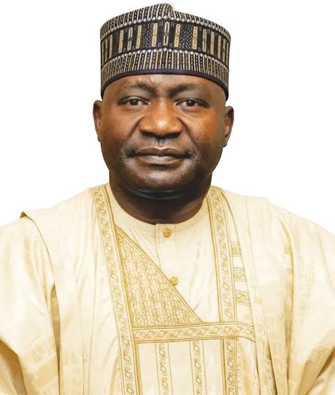 The recent killings of three commanding officers of the Nigerian Army by Boko Haram and ISWAP at dif...