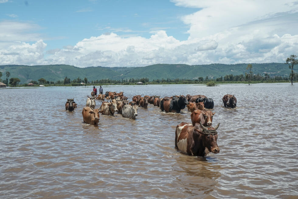 At least 81 people have died in Kenya as torrential rains and flash floods submerge villages, destro...