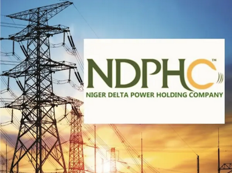 Emmanuel Addeh in Abuja The Managing Director and Chief Executive Officer of the Niger Delta Power...