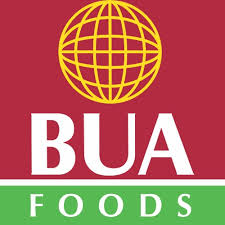 Kayode Tokede BUA Cement announced the release of its full year 2025 audited financial statements,...