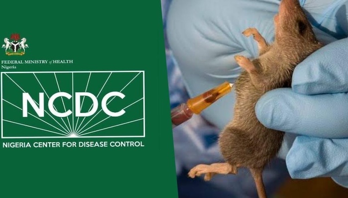 Lassa fever deaths rise in Nigeria despite fewer infections, with late treatment and poor sanitation...