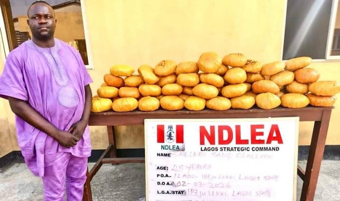 NDLEA arrests former Lagos councillor, uncovers drugs hidden in baby diapers and intercepts suspecte...