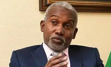 *Home-grown solutions more effective, declares Tuggar*Ghanaian minister argues youth unemployment dr...