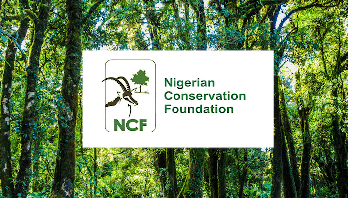 The Nigerian Conservation Foundation has raised alarm over deforestation, urging urgent action to pr...