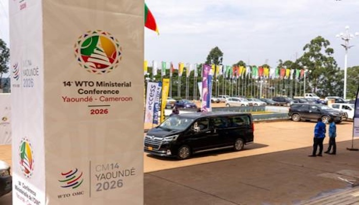 WTO ministers meet in Yaoundé with deep divisions and stalled reforms, raising doubts about the orga...