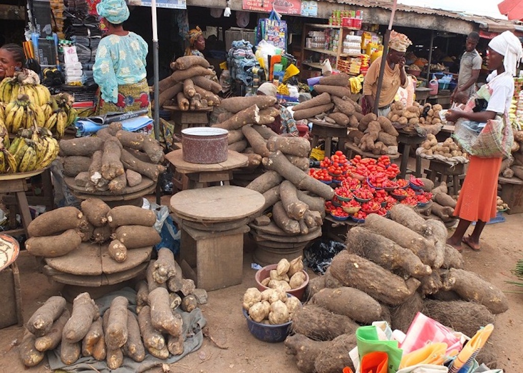 Michael Olugbode in Abuja Environmental activist Nnimmo Bassey has warned the growing dominance of j...