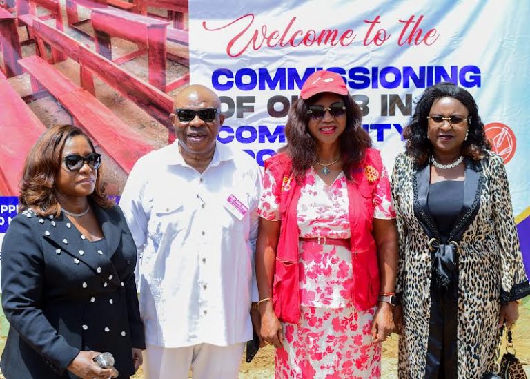 Rotary Club of Abuja Sapphire has inaugurated community projects built and donated to public school...