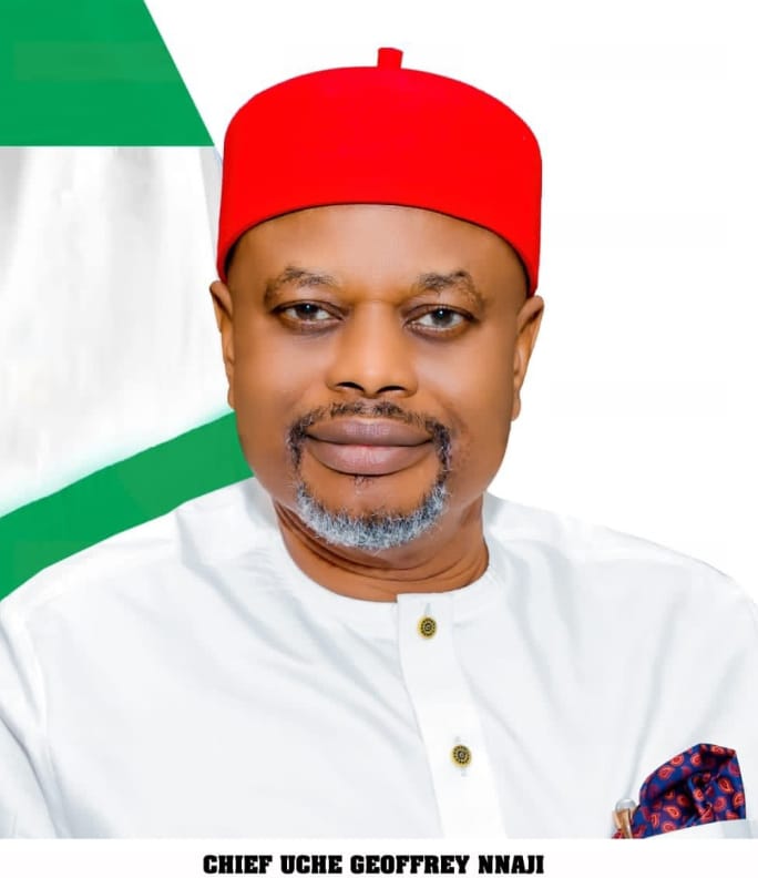 Sunday Ehigiator An investigative panel set up by the federal government has confirmed that former M...