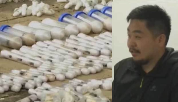 Kenya charged two men after authorities seized over 2,000 live ants in a suspected wildlife traffick...