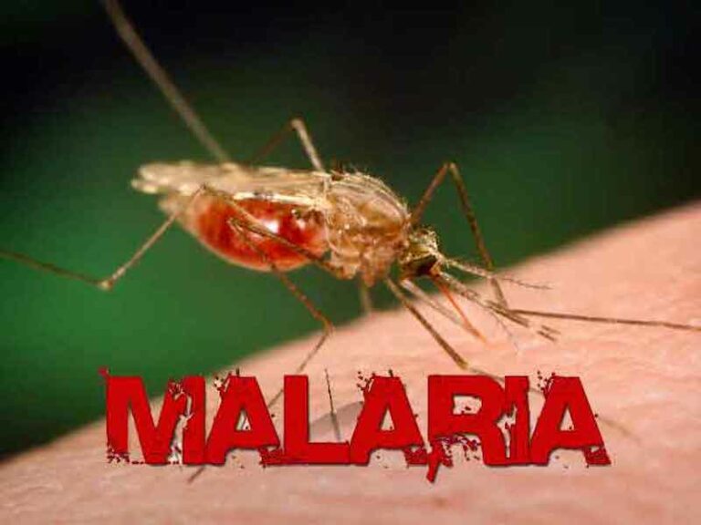 Linus Aleke in Abuja The federal government and Malaria Consortium have reaffirmed their resolve to...