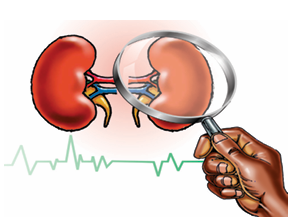 The authorities could do more on this health emergency Kidney, the organ that helps to filter waste...