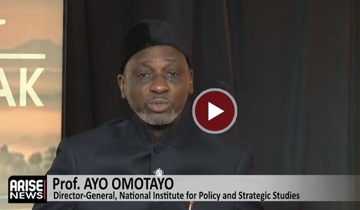 Director-general, National Institute for Policy and Strategic Studies, Professor Ayo Omotayo, says u...