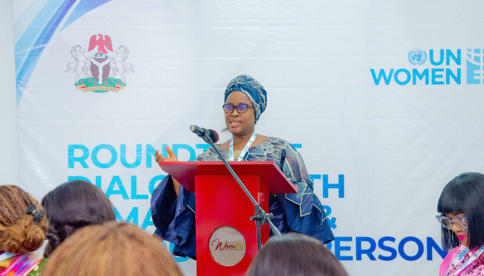 UN Women says Nigeria’s democracy and development risk stagnation as women occupy only 3.9 per cent...