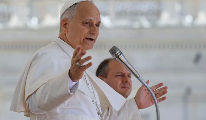 Pope Leo XIV criticises widening wealth inequality, urging justice, peace, and environmental protect...