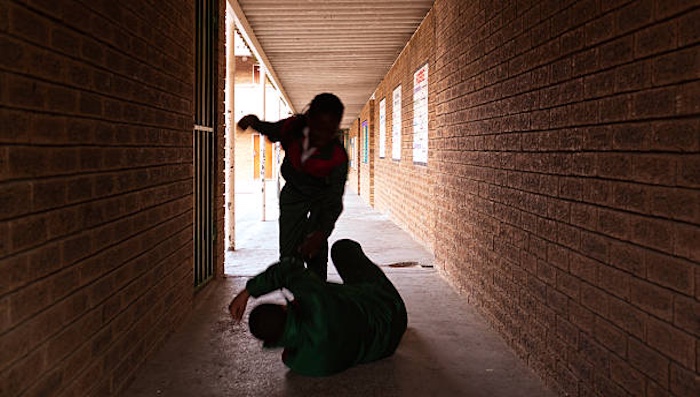 Stakeholders warn bullying in Nigerian schools fuels mental health issues, drug abuse risks, and cal...