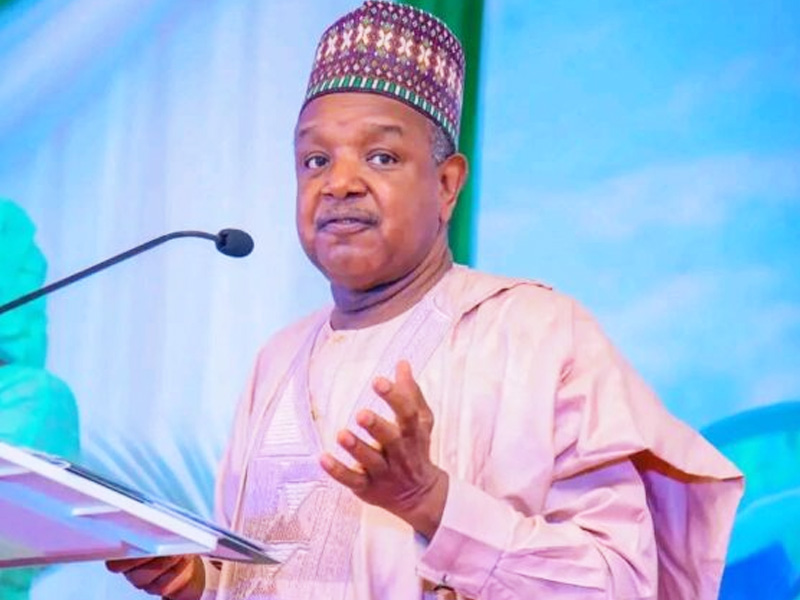Nigeria calls for fair hydrogen transition, urging UN to ensure inclusive growth, equitable investme...