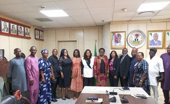 Federal Government sets up inter-ministerial committee to strengthen coordination and compliance in...
