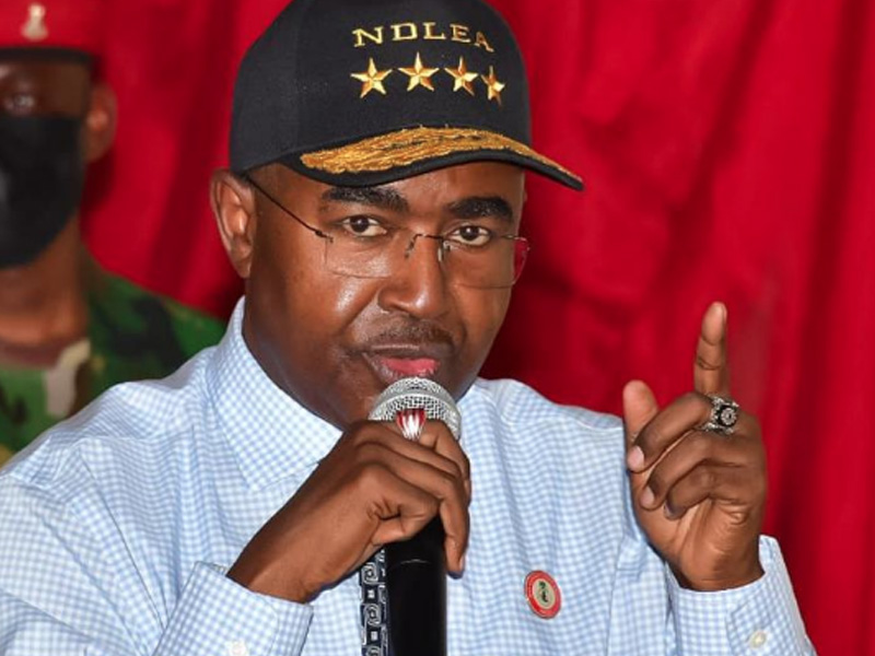 Federal High Court grants NDLEA interim forfeiture of millions of opioid pills and codeine syrup sei...