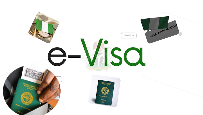Federal Government launches e-visa and digital expatriate system to tighten border control and attra...