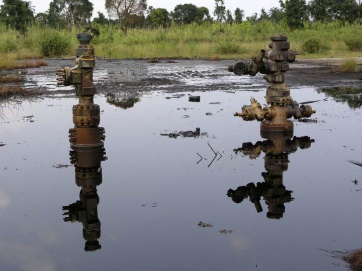 PINL backs resumption of Ogoniland oil production, citing $226bn losses and calling for community in...