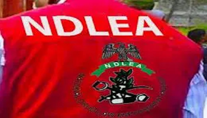 NDLEA says coordinated raids across Lagos, Anambra and Kwara uncovered massive drug consignments and...