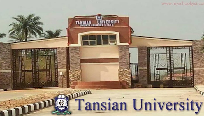 Tansian University has dismissed sex allegations against a priest in a viral video, describing the c...